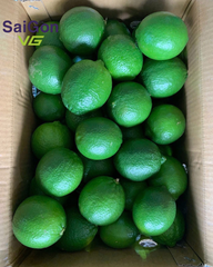Vietnam Seedless Lime – Fresh Export Quality | Bulk Supplier – product photo 2, product detail gallery