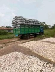 PEELED CASSAVA CHIPS - Image 1