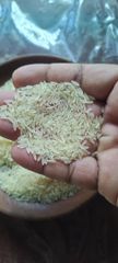 Parboiled Rice 5% broken sortex quality – product photo 2, product detail gallery