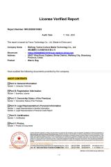 SGS certificate from Weifang Yaohui Culture Media Technology Co., Ltd