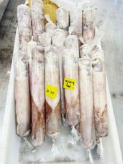 Squid Loligo IQF, IWP Type Frozen Grade Premium Shape Whole Round Processing Type IQF Content 100% Net Weight Place of Origin - Image 5