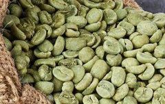 Premium Ethiopian Arabica Specialty Coffee – Guji Origin - Image 2