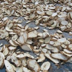 PEELED CASSAVA CHIPS - Image 2