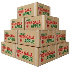 Fresh Gala Apple Export Quality Fruit With Crisp Juicy Texture For Supermarkets Food Service And Bulk Purchasing - Image 3