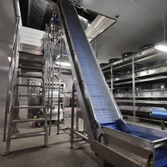 Commercial Sausage Meat Processing Machine for Quality Meat Products - Image 6