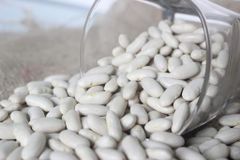 Egyptian White Beans – product photo 1, product detail gallery