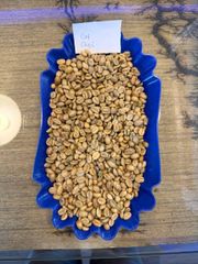 Ethiopia arabica green coffee beans - unwashed yirgachefe G/1 - Image 3