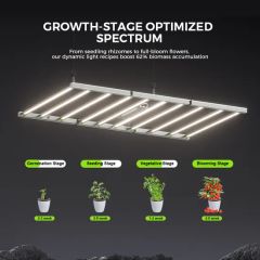 Full Spectrum LED Grow Light 1000W for Thriving Indoor Plant Growth - Image 2