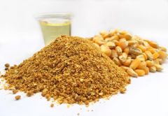 Premium Quality Distillers Dried Grains with Solubles for Livestock Feed | Fast Delivery & Wholesale Buy Options Available Now - Image 2