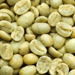 Green Arabica Coffee beans Premium Vietnamese Arabica Green Coffee Beans with 98% Maturity Honey Process New Crop 2024. – product photo 2, product detail gallery