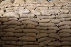 Hot Selling Blended Arabica & Robusta Premium Quality Direct Wholesale Green & Roasted Brazil Coffee Beans Bulk Packed – product photo 5, product detail gallery