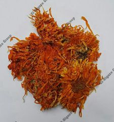 Calendula  - Image 1
