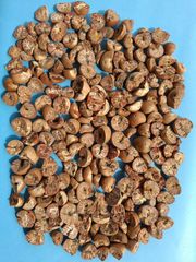 Betel nut Split 90-95% – product photo 1, product detail gallery