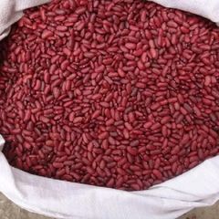 Wholesale Ethiopian High Quality Cream Beans Fresh Kidney Red and White Beans Common Cultivation Type - Image 4