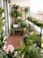 Balcony Renovation Service Service Location India Application Residential Features Timely Rendered Payment Mode Online And - Image 1