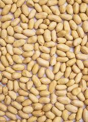 Peanut - Image 1