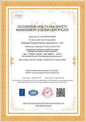 ISO45001 certificate from Shanghai People electric industrial Co., Ltd.