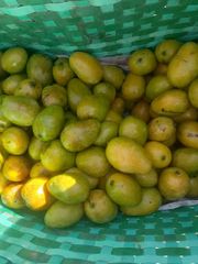 Premium Fresh Mango - Image 3