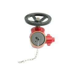 SP SAFETYPLUS 2.5" Low Fire Hydrant Ordinary Bolt 15D MOQ100 Origin China Model NO. SP HS Code 8481804090 Specification 2.5'' - Image 4