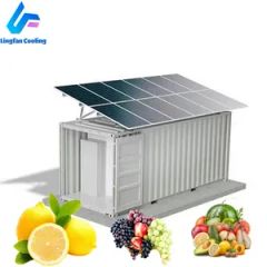 Eco-Friendly Solar Refrigeration System with Advanced Cooling Technology - Image 2