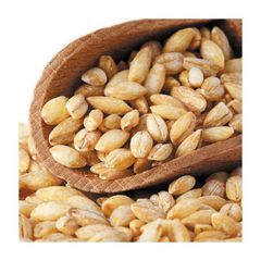 Barley grain wholesale stock available in bulk bags and containers - Image 2