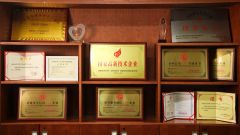 Professional Certificate certificate from Shenzhen Oya Ri New Material Technology Co., Ltd