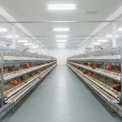 Compact Multi-Tier Chicken Coop for Efficient Poultry Farming - Image 1