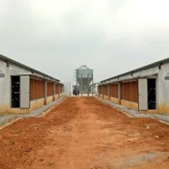 Livestock Poultry Equipment - Image 6