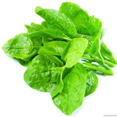 Fresh organic vegetable malabar spinach Style Fresh Color Green Type vegetables Packaging 5kg / carton Cultivation Type - Image 4