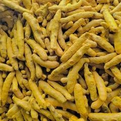 Indian Double Polished Turmeric Fingers | Bulk Export Supply – FOB Mundra Port – product photo 3, product detail gallery