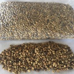 ROBUSTA GREEN COFFEE BEANS SERUNAI 100% Natural Hot Selling Indonesian Best Quality with Reasonable Best Price – product photo 1, product detail gallery