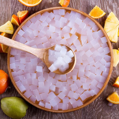 Raw Nata de Coco - Premium Coconut for Food Processing - Image 1