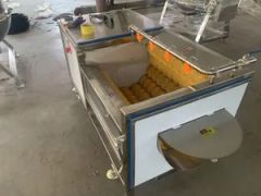 Yam Lotus Root Potato Hair Roller Cleaning Peeling Machine - Image 4