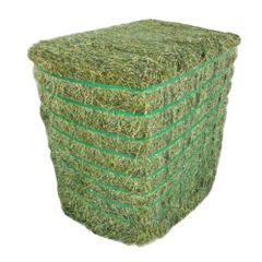 High Quality Alfalfa Hay Pure Sun Dried Hay Bulk & Wholesale Options Cheap Prices - Image 1