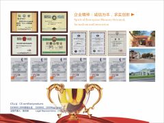 Certificate of Honor certificate from FOSHAN STAR POWER TECHNOLOGY CO.LTD