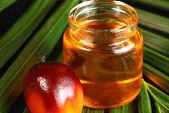 PALM COOKING OIL – product photo 1, product detail gallery