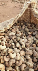 cashew nuts W320 W240, RCN. – product photo 3, product detail gallery