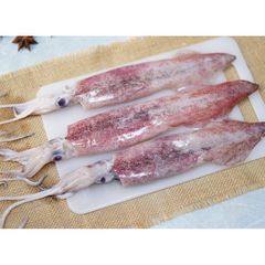 High Quality Fresh Frozen Illex Squid at Whole Sales Price. – product photo 2, product detail gallery