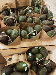 Fresh Avocado Premium Quality Ripe Green Fruit For Healthy Meals Natural Taste And Everyday Nutritious Food Supply - Image 5