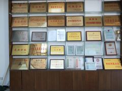 Certificates certificate from Zhengzhou Effort Trading Co., Ltd.