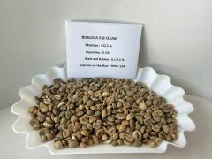 coffee Arabica - Robusta - Image 1