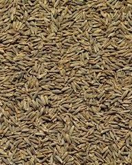 Cumin Seeds Whole - Image 3