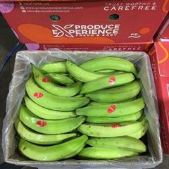 High Grade Fresh Cavendish Banana Bulk Export Fresh Crop For Wholesale Distributors And Importers - Image 5