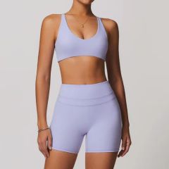 2025 New Sportswear Sports Bra Leggings Suit Fitness Women Gym Wear Yoga Sets - Image 1
