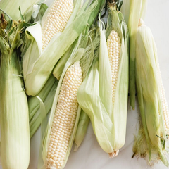 Non-GMO Dried White Corn Premium Grade 100% Pure Natural for Global Buyers and Bulk Orders - Image 3
