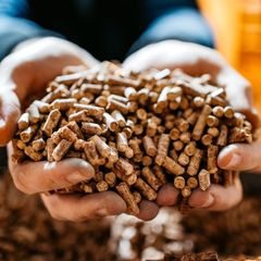 Fast Delivery Pine Wood Pellets 6mm Manufacturer Supply 15KG Bags Premium Fuel For Clean Burning Strong Heat Output And Reliable Heating Buy Now Wholesale Premium Quality - Image 5