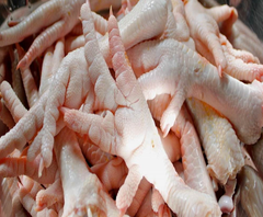 Chicken Feet – product photo 2, product detail gallery