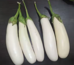 Fresh eggplant Packaging - Image 2