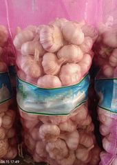 Fresh garlic (1195$ton ) & fresh ginger ( 925 ton ) - Image 1