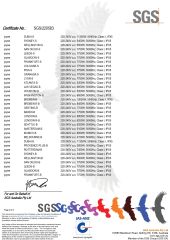 SAA Certificate (Outdoor Spa) certificate from GUANGZHOU JOYEE WELLNESS TECHNOLOGY CO., LTD.